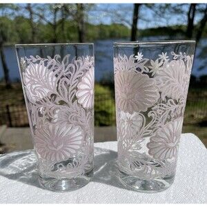 Vintage Todd Floral Embossed Flowers Pink White Glasses Tumblers Set Of 2